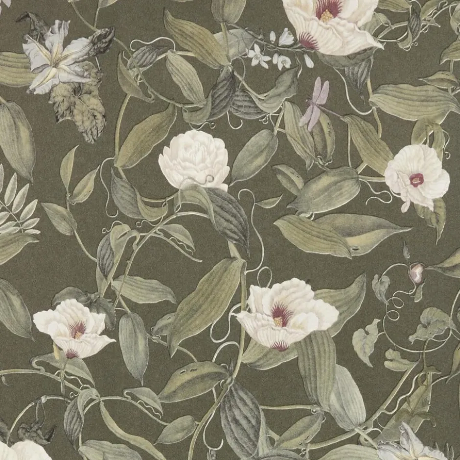 Behang Famke Groen|Kwantum Fashion