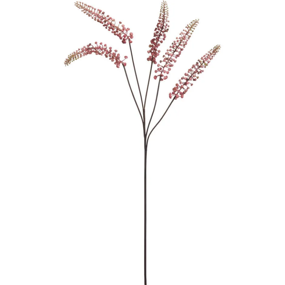 Bloem Phytolacca Roze|Kwantum Hot