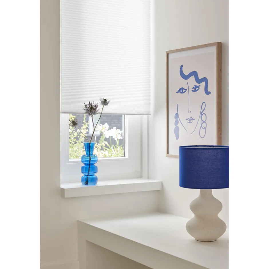 Fenstr Dubbel Plissé Lizzy Lichtdoorlatend|Kwantum Clearance