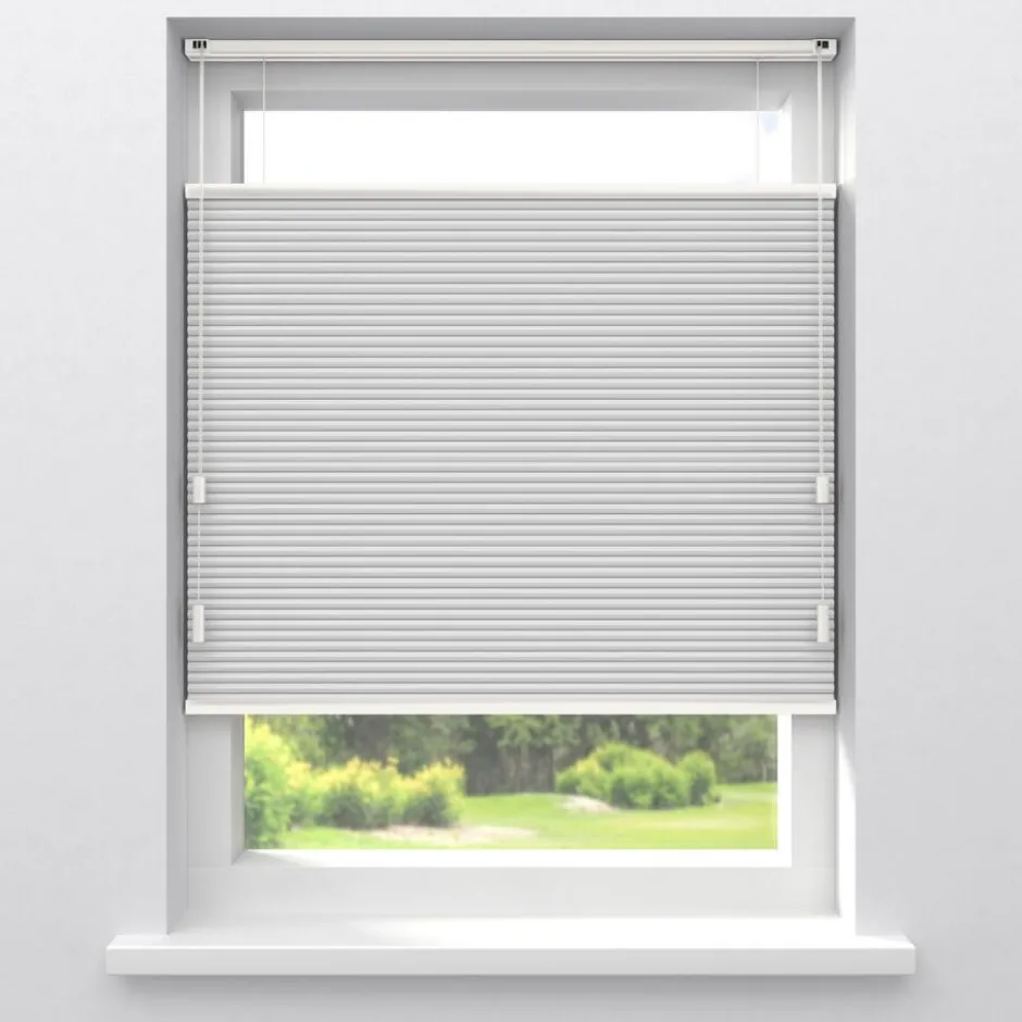 Fenstr Dubbel Plissé Elsa Verduisterend|Kwantum Clearance