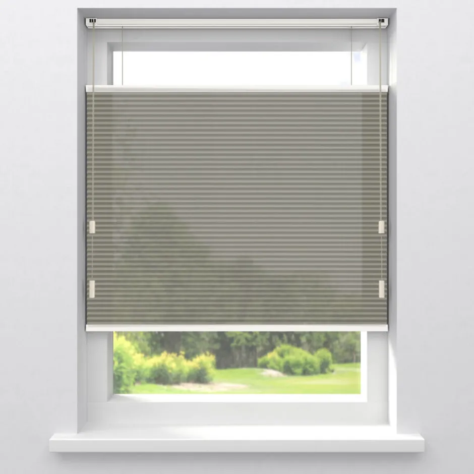 Fenstr Dubbel Plisségordijn Dewi Lichtdoorlatend|Kwantum Discount