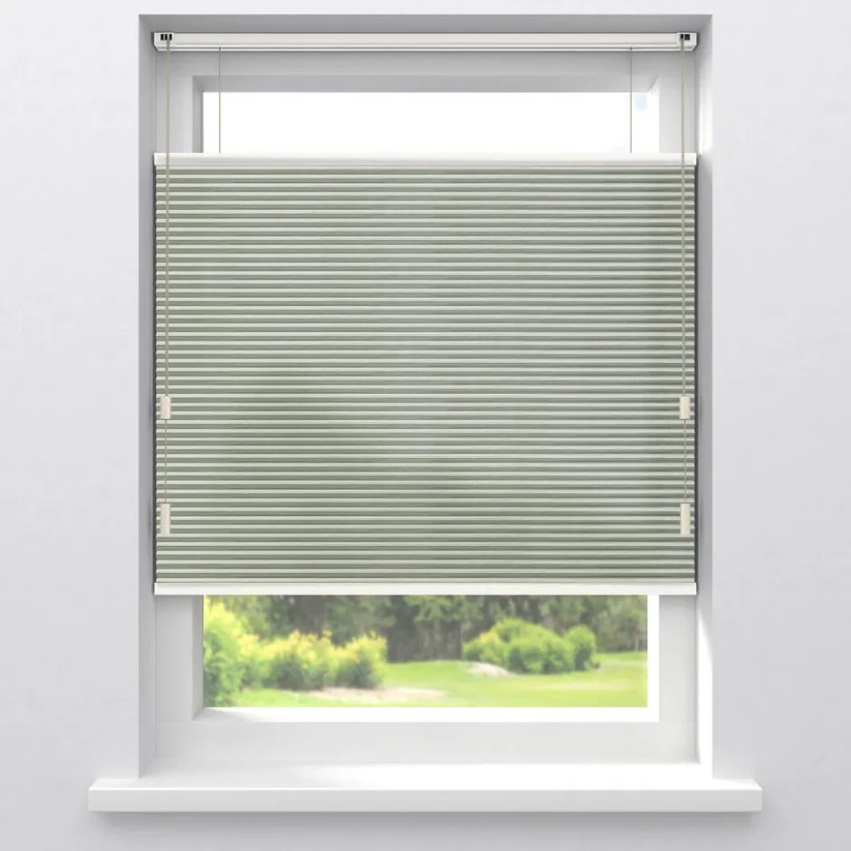 Fenstr Dubbel Plisségordijn Ezra Lichtdoorlatend|Kwantum Discount