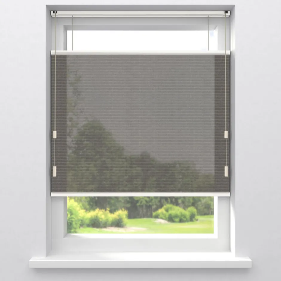 Fenstr Dubbel Plisségordijn Maud Donkerbruin Transparant|Kwantum Hot