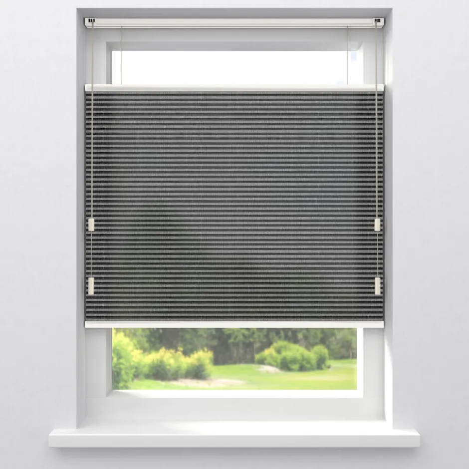 Fenstr Plisségordijn Raya Lichtdoorlatend|Kwantum Clearance