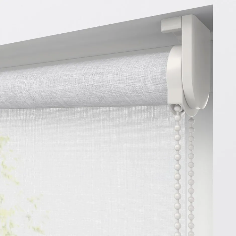 Fenstr Rolgordijn Febe Transparant|Kwantum Best