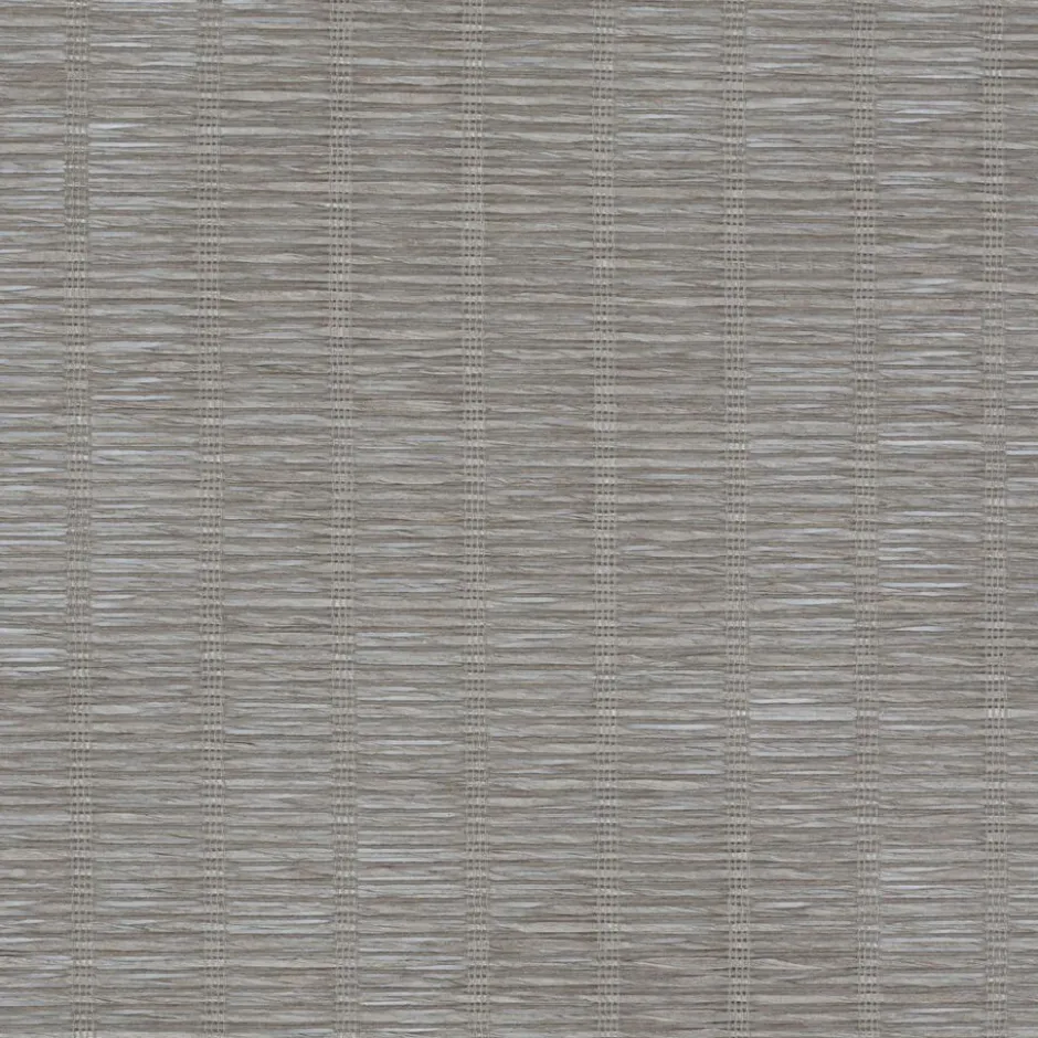 Fenstr Rolgordijn Fem Transparant|Kwantum Outlet