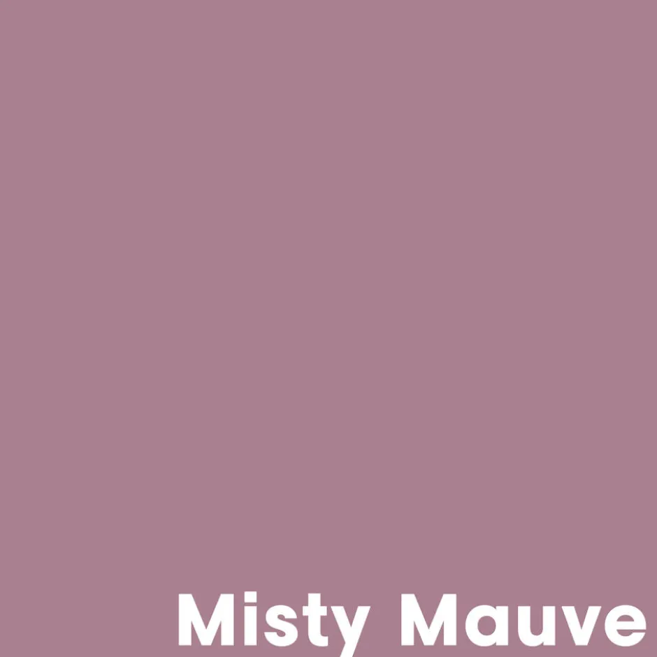 Muurverf Professional Misty Mauve 1 L|Kwantum Online