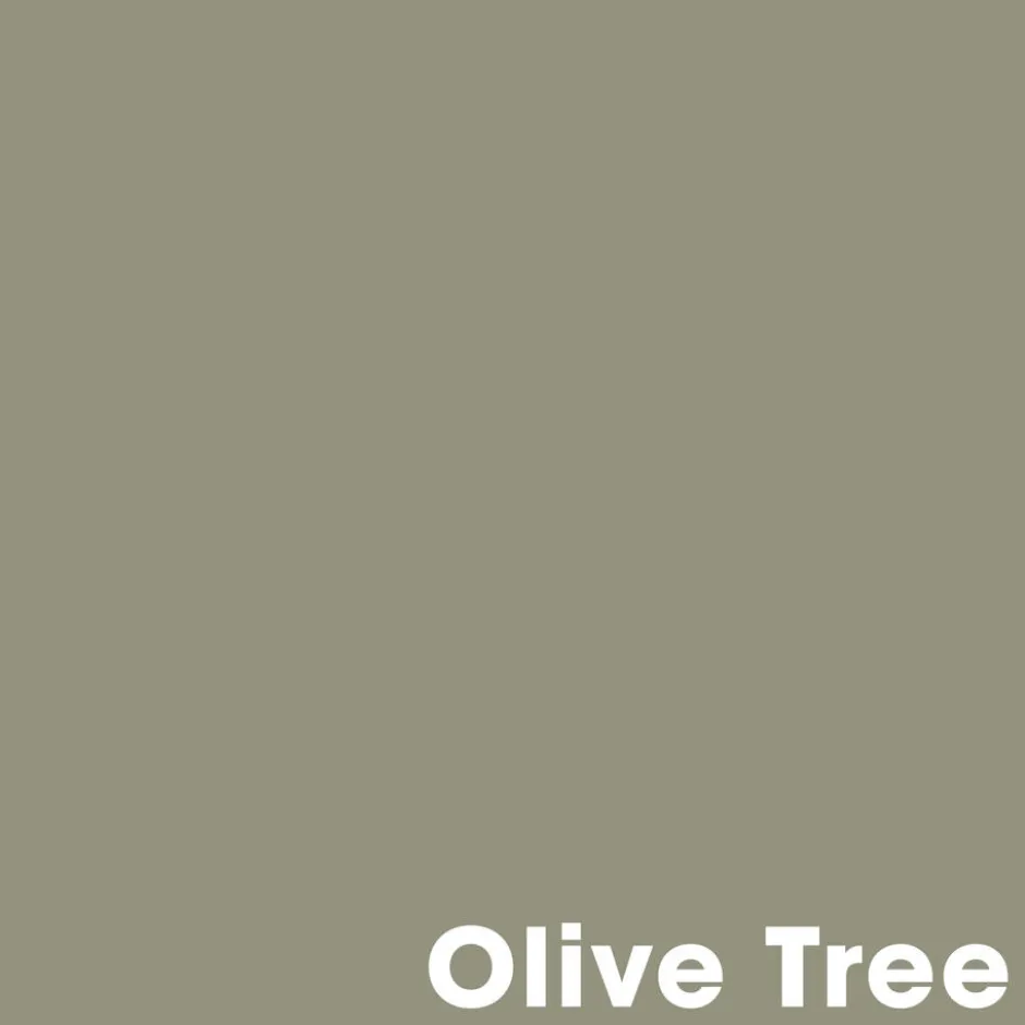 Muurverf Professional Olive Tree 1 L|Kwantum Discount