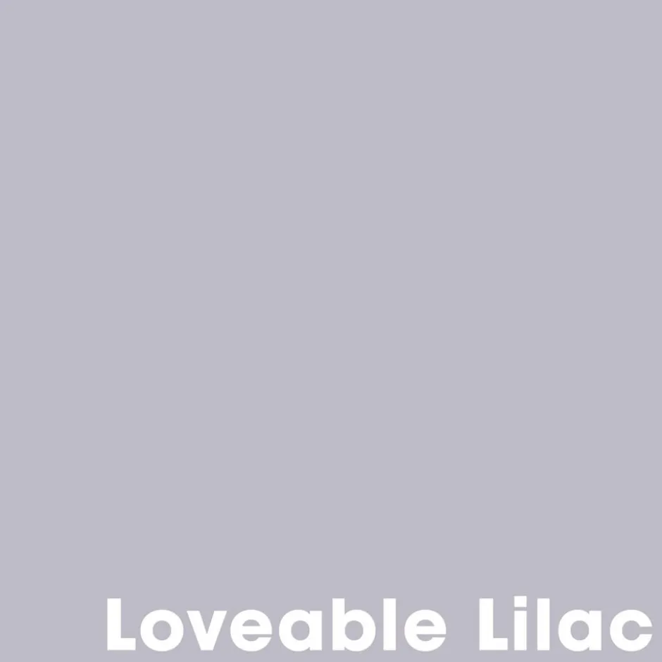 Muurverf Professional Loveable Lilac 1 L|Kwantum Fashion