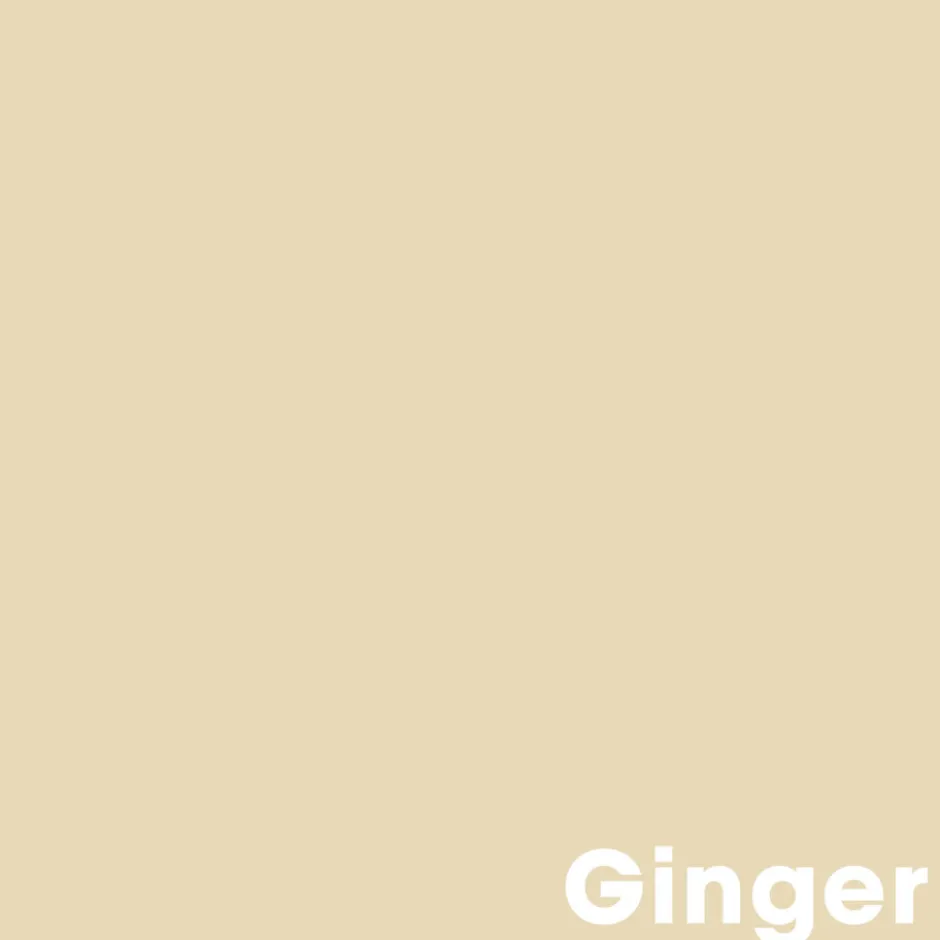 Muurverf Professional Ginger 1 L|Kwantum Best