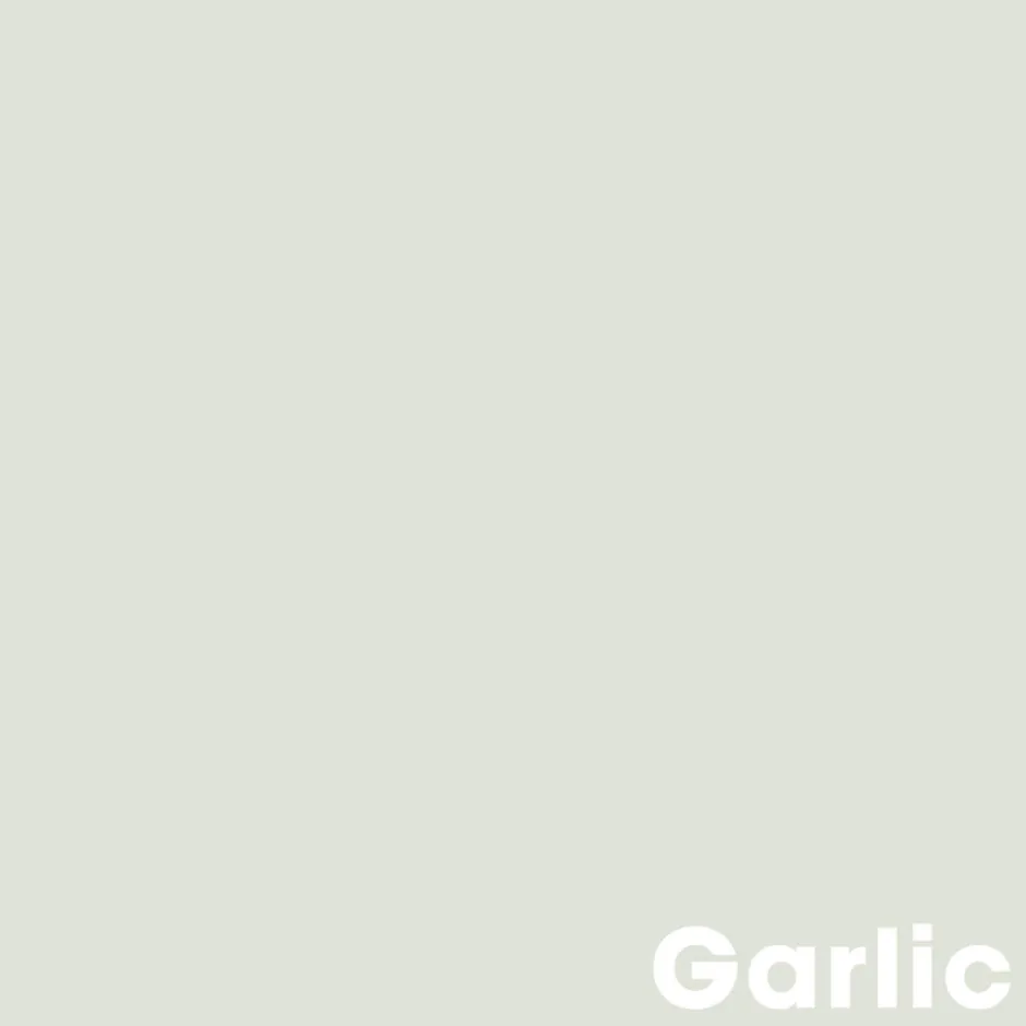 Muurverf Professional Garlic 2.5 L|Kwantum Hot