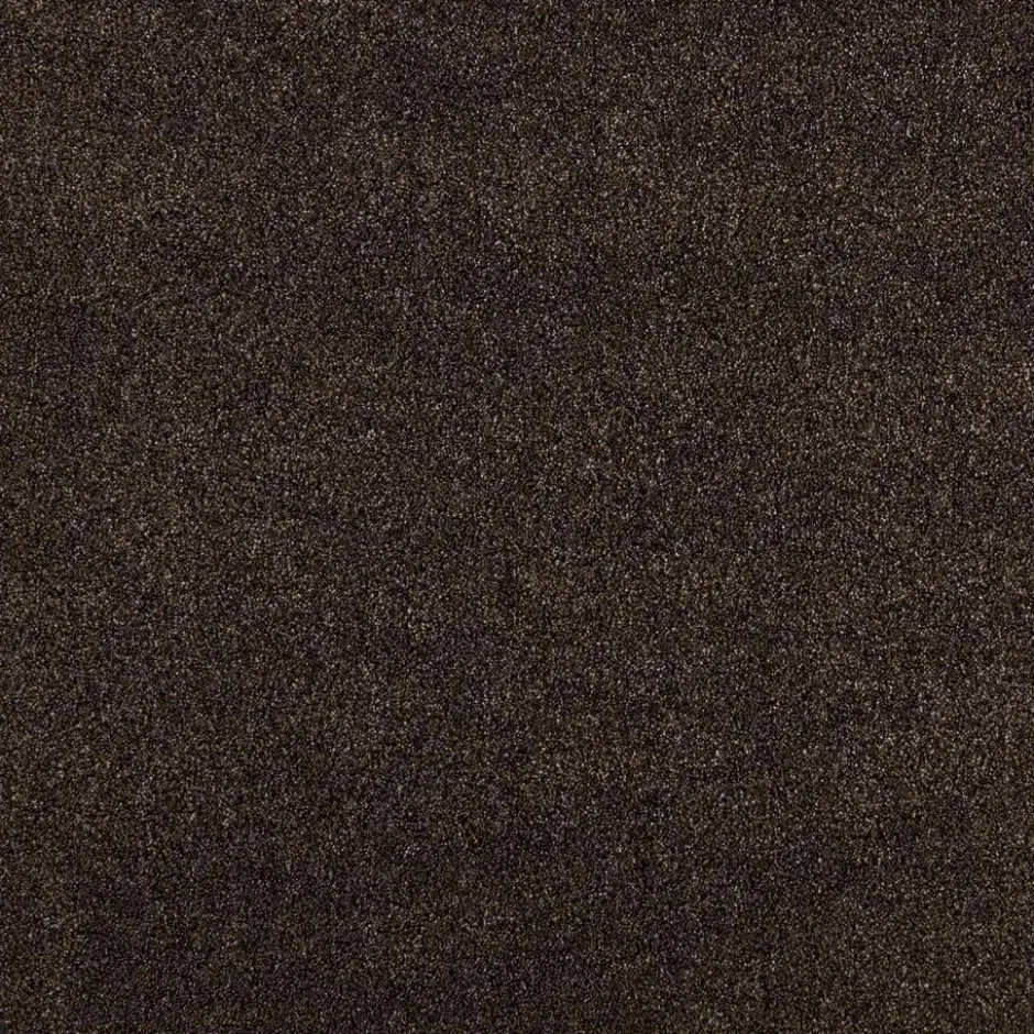Tapijt Peetz Bruin|Kwantum Outlet